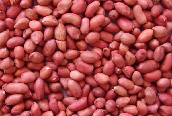 Groundnuts Red Beauty