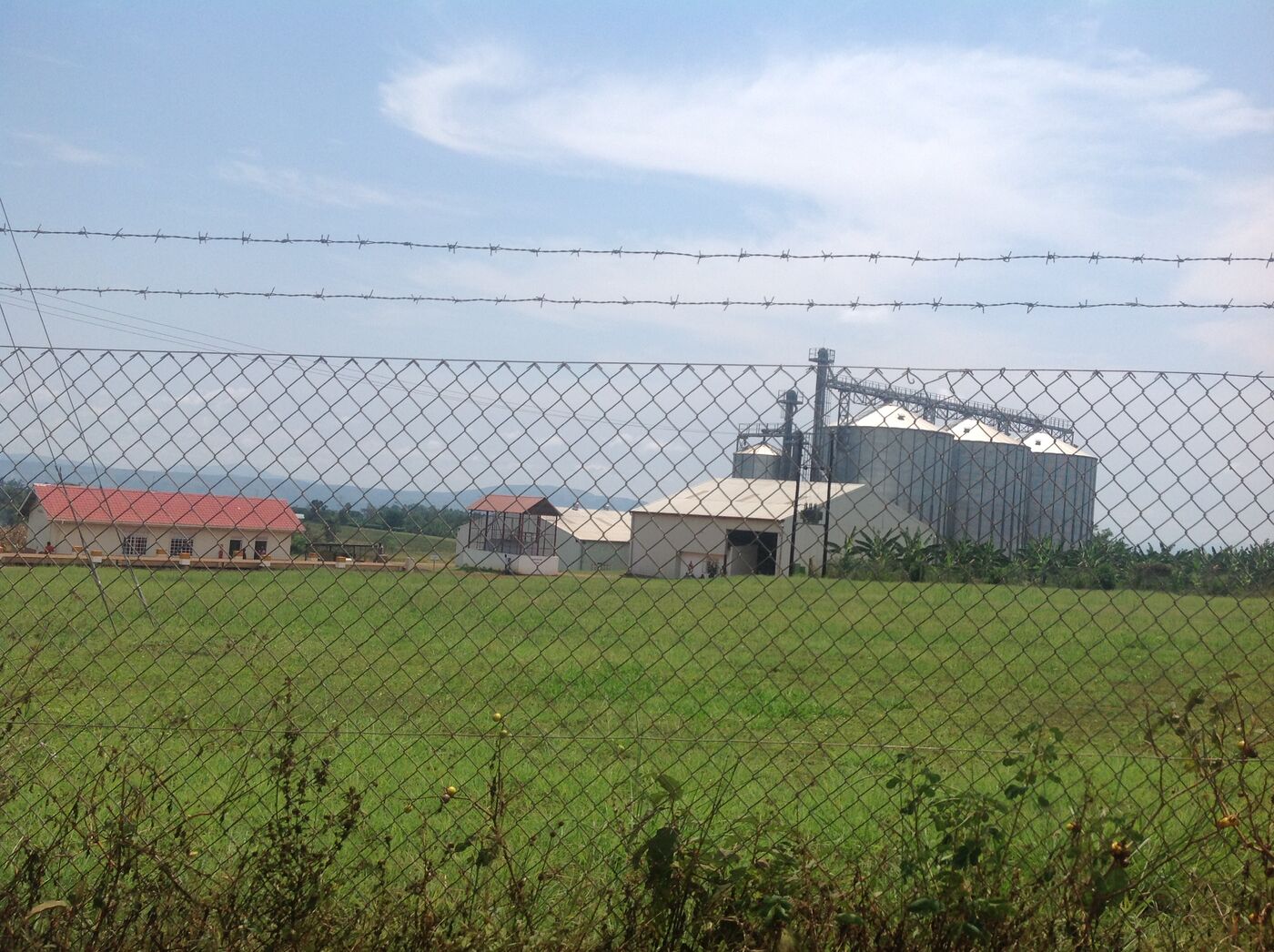 FICA Seeds production land and facilities